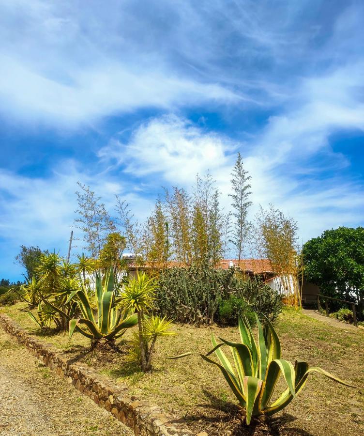 Monte Da Conqueira Villa Odemira Kültér fotó